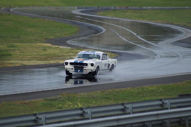 DSC02260 (Moyen).JPG