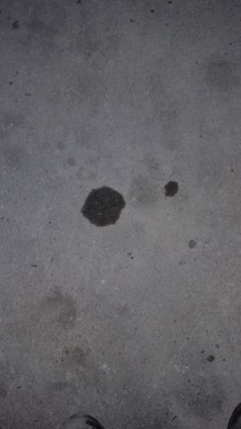 WhatsApp Image 2021-09-30 at 21.54.32.jpeg