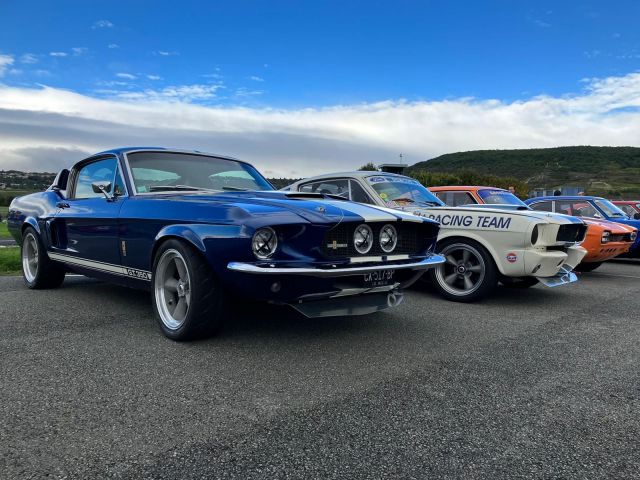 WhatsApp Image 2022-10-03 at 15.17.46.jpeg