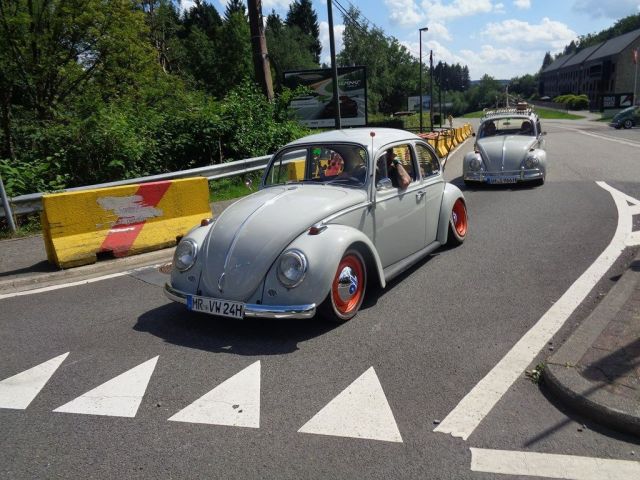 18.08.2023 BUG SHOW (2).JPG