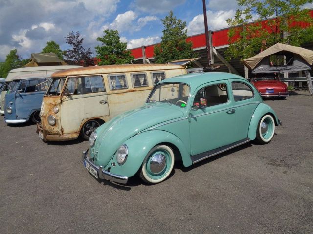 18.08.2023 BUG SHOW (25).JPG