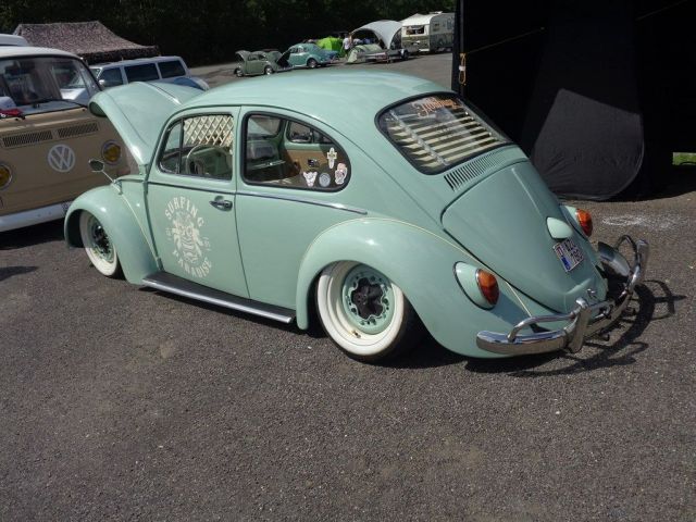 18.08.2023 BUG SHOW (28).JPG