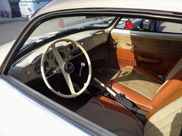 18.08.2023 BUG SHOW (42).JPG