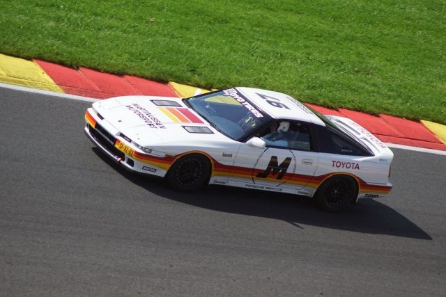 18.08.2023 BUG SHOW (52).JPG