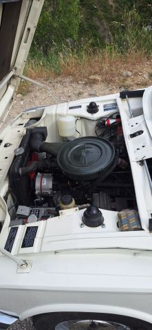 20260503_164800.jpg