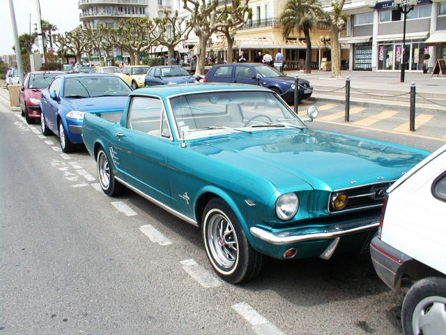 P5110086.jpeg