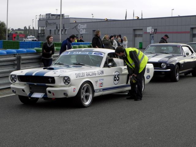 post-183-0-25089600-1350205823_thumb.jpe